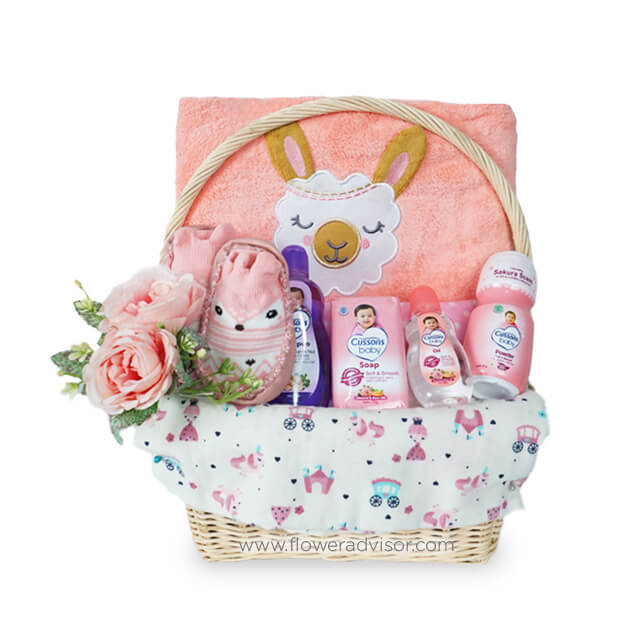 Pink Baby Gift