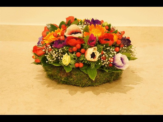 Field flowers