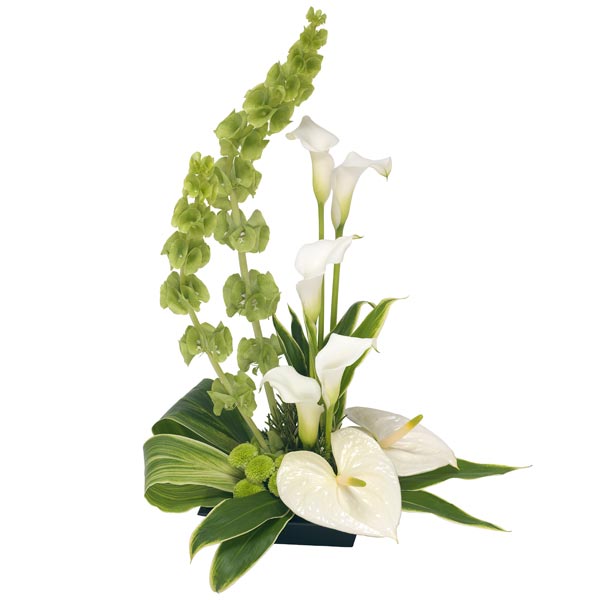 Arrangement of Mixed Premium Flowers