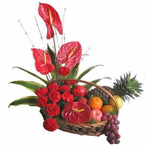 Flowers &Fruits