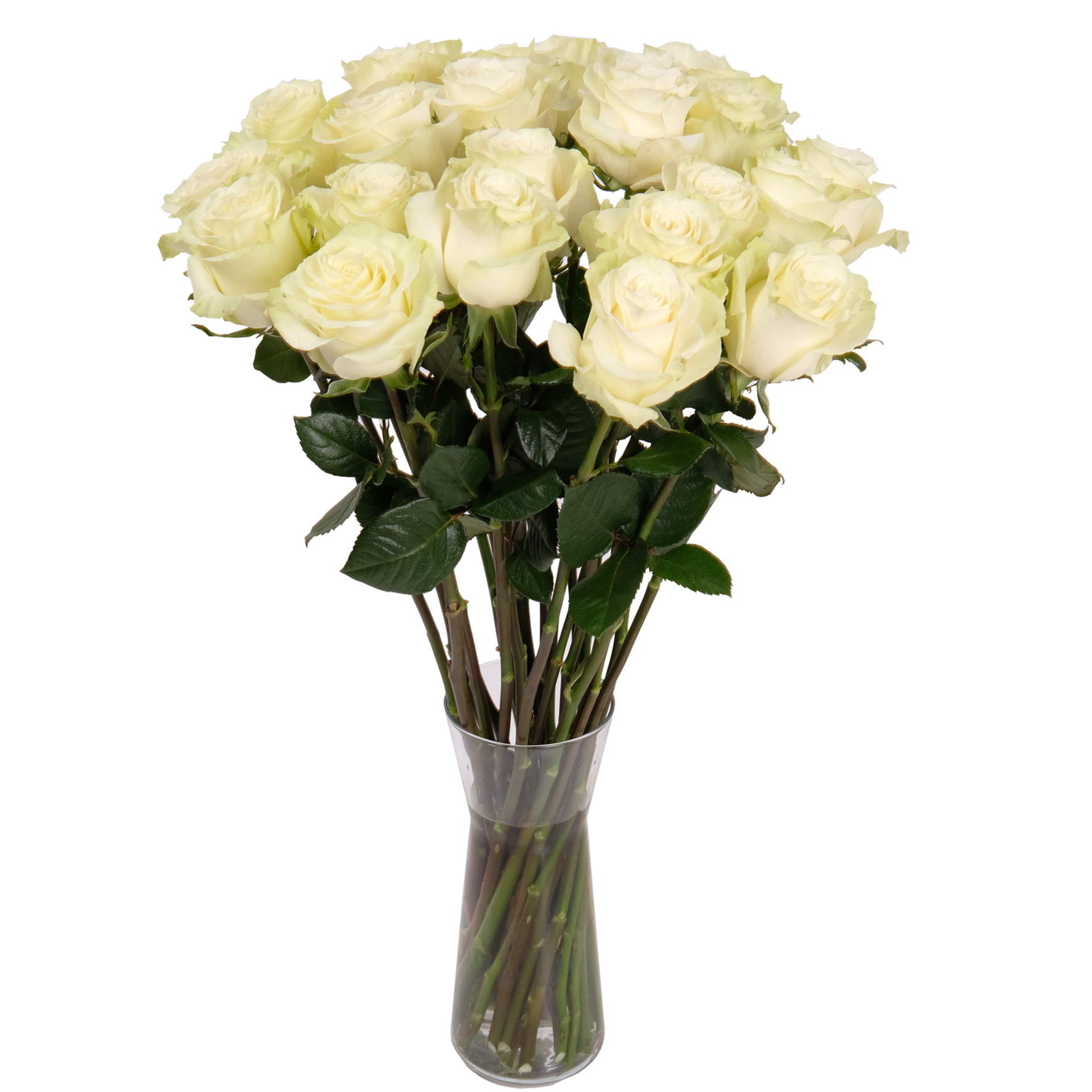 Florist's white roses