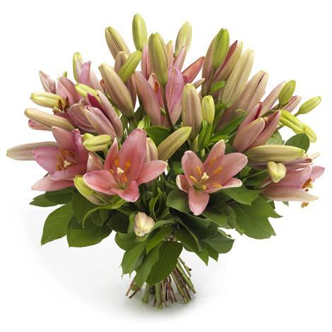 Pink Liliums