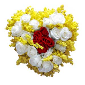 Heart of Mimosa and Red Roses