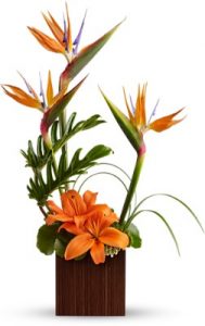 Arrangement of Noble Mixed Flowers