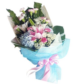 (Vietnam) Brilliant Blue