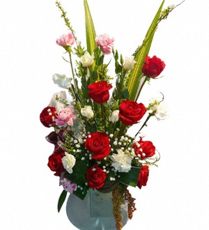 (Vietnam) Beautiful Smile