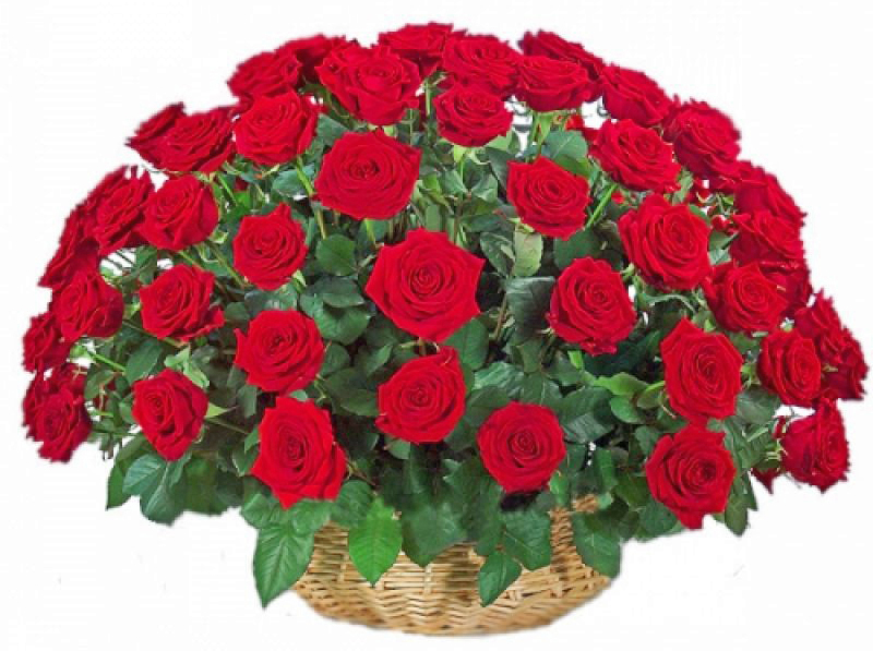 Roses in a Basket