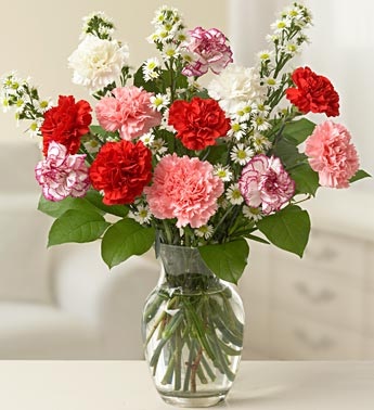 Vase arrangement of colourful carnations