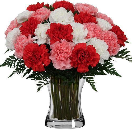 Mixed Carnations