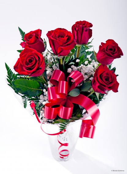 6 Red Roses ... LOVE FOREVER