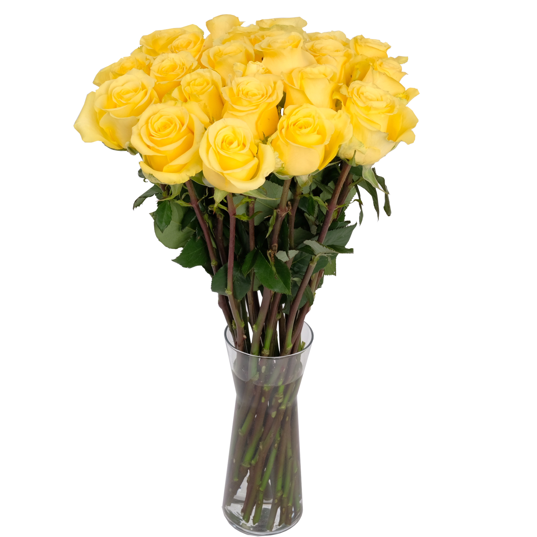Send Flowers to Basel, Switzerland International Flower Delivery