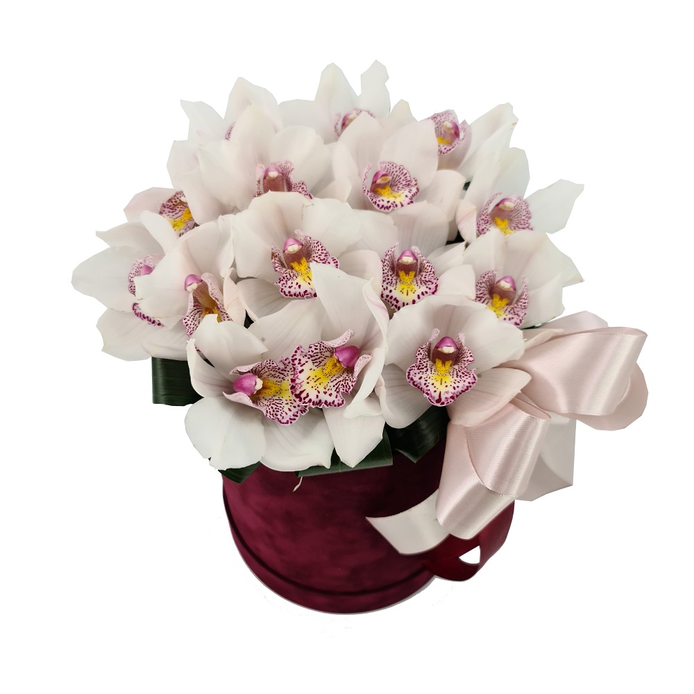 Elegant box of orchids Teleflora international