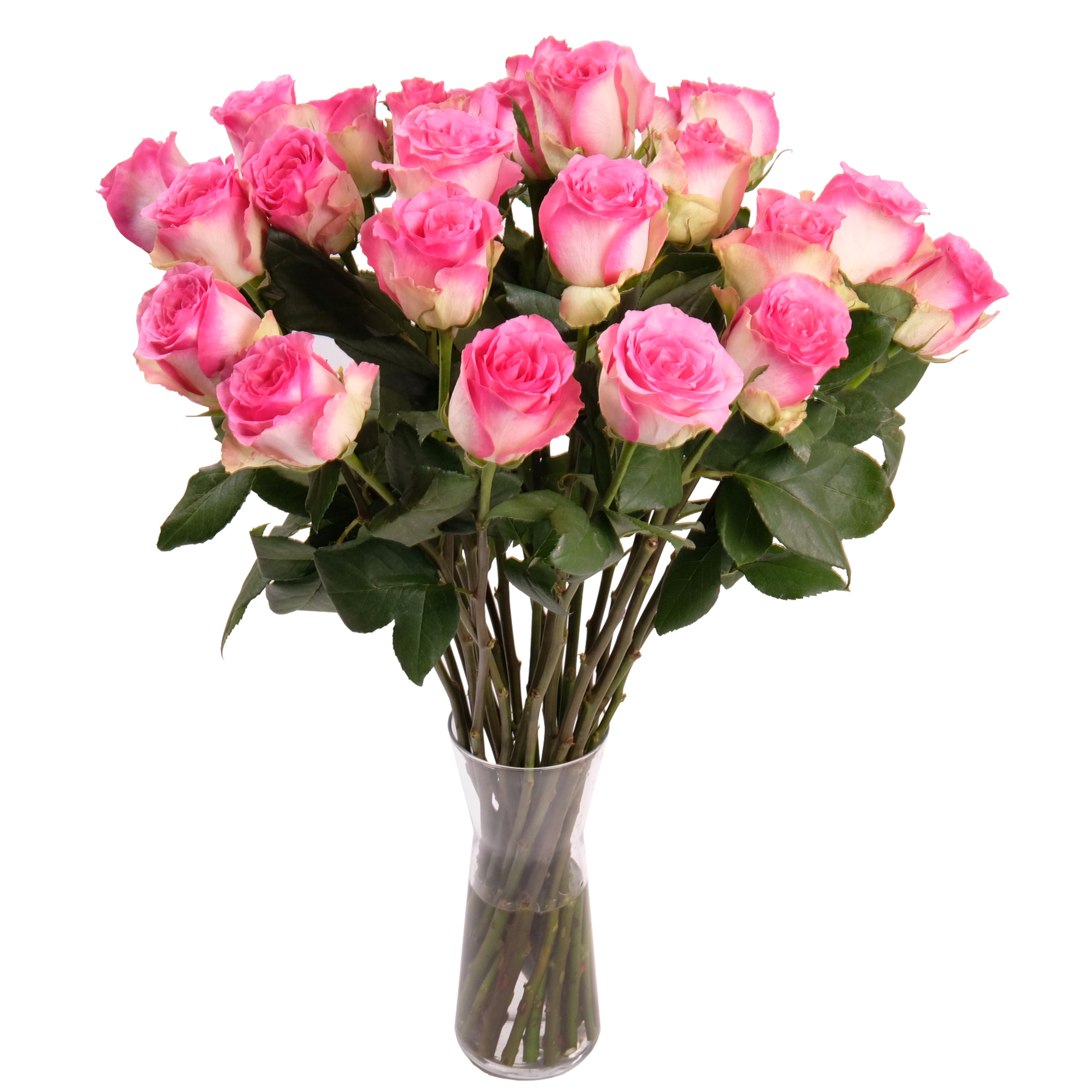 Send Flowers to Lausanne, Switzerland International Flower Delivery