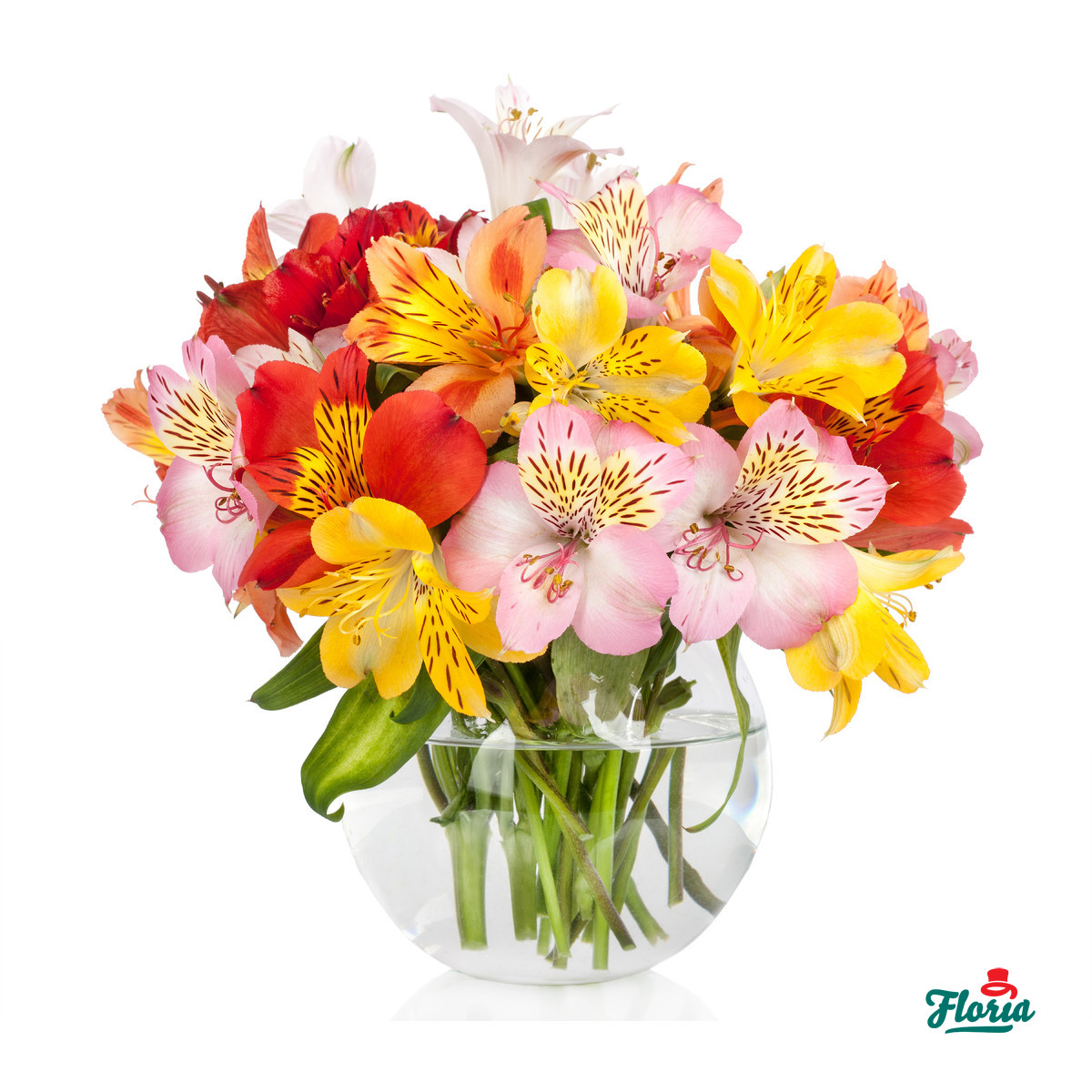 Send Flower Delivery to Romania Teleflora international