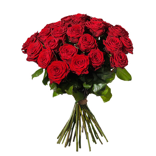 Send Flowers to Zagreb International Flower Delivery Teleflora