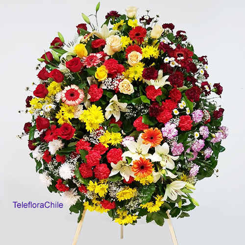 Germany Flower Delivery Same Day 1st in Flowers!