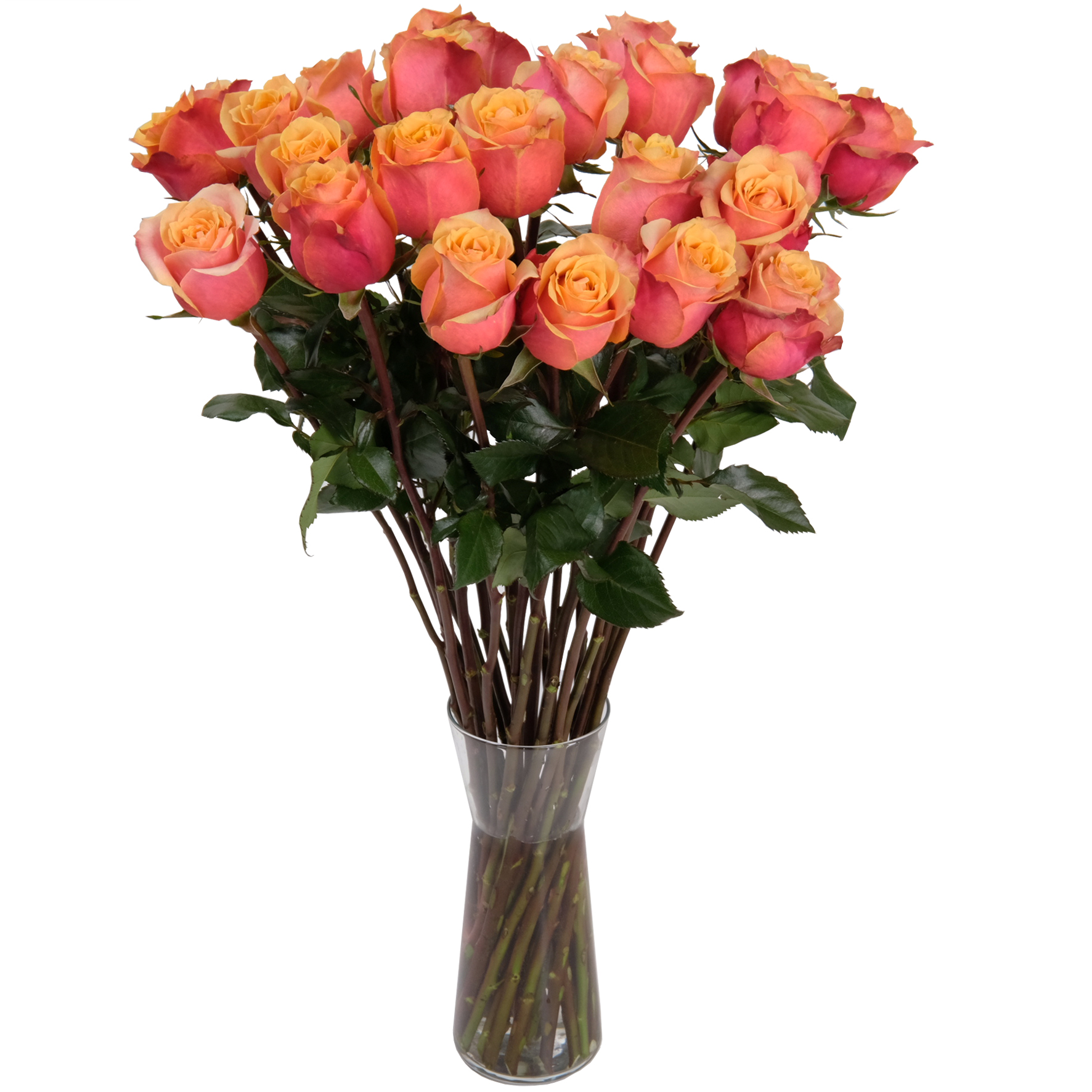 Send Flowers to Lausanne, Switzerland International Flower Delivery