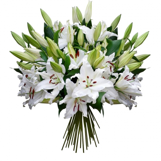 Send Flower Delivery to Spain Teleflora international