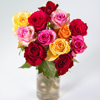 Happy roses - Teleflora international