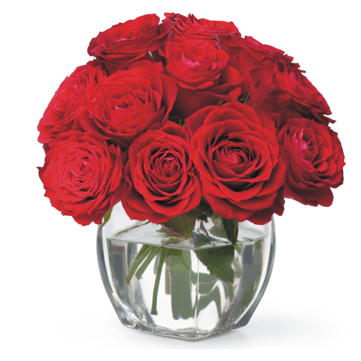 Birthday Flowers Japan