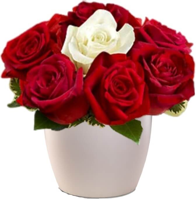 Sympathy and Funeral Germany