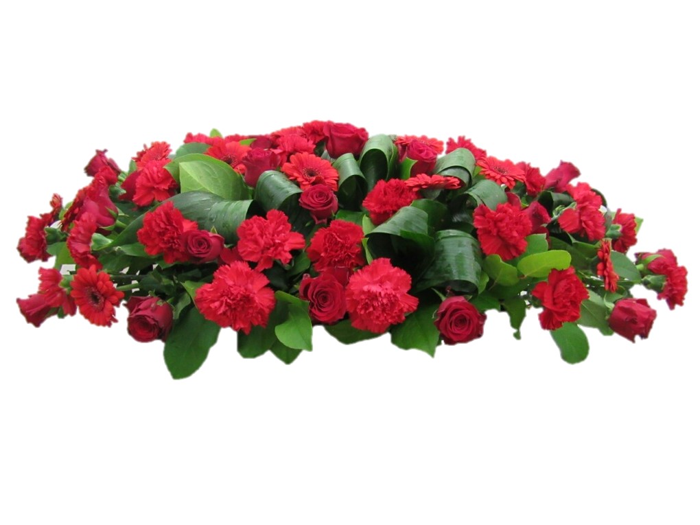 Bolivia Flower Delivery 1st in Flowers!