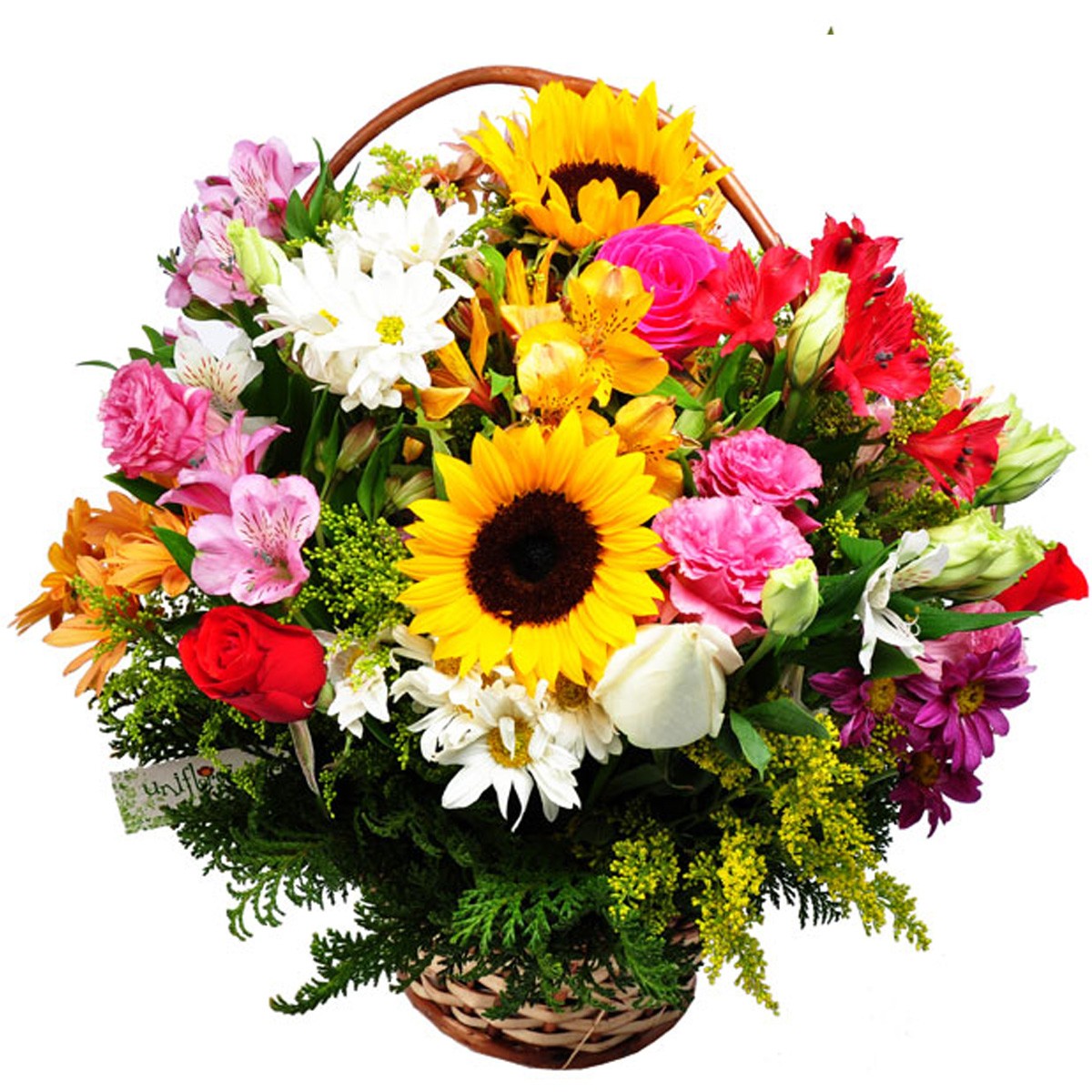 Peru Flower Delivery 1st in Flowers!